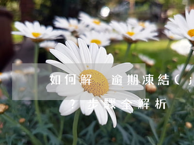 如何解決逾期凍結(jié)的信用卡？步驟全解析